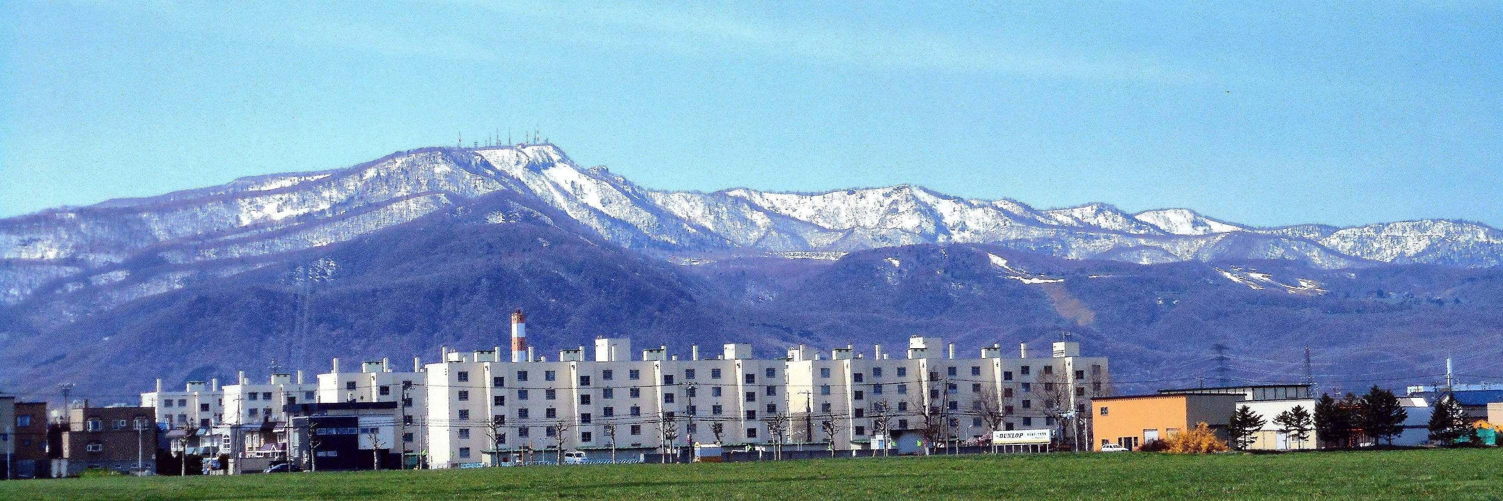 fuyonglongmei 
