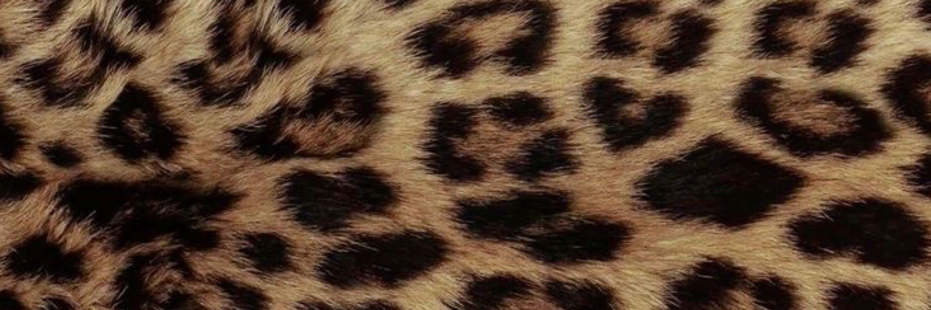 mah 🐆