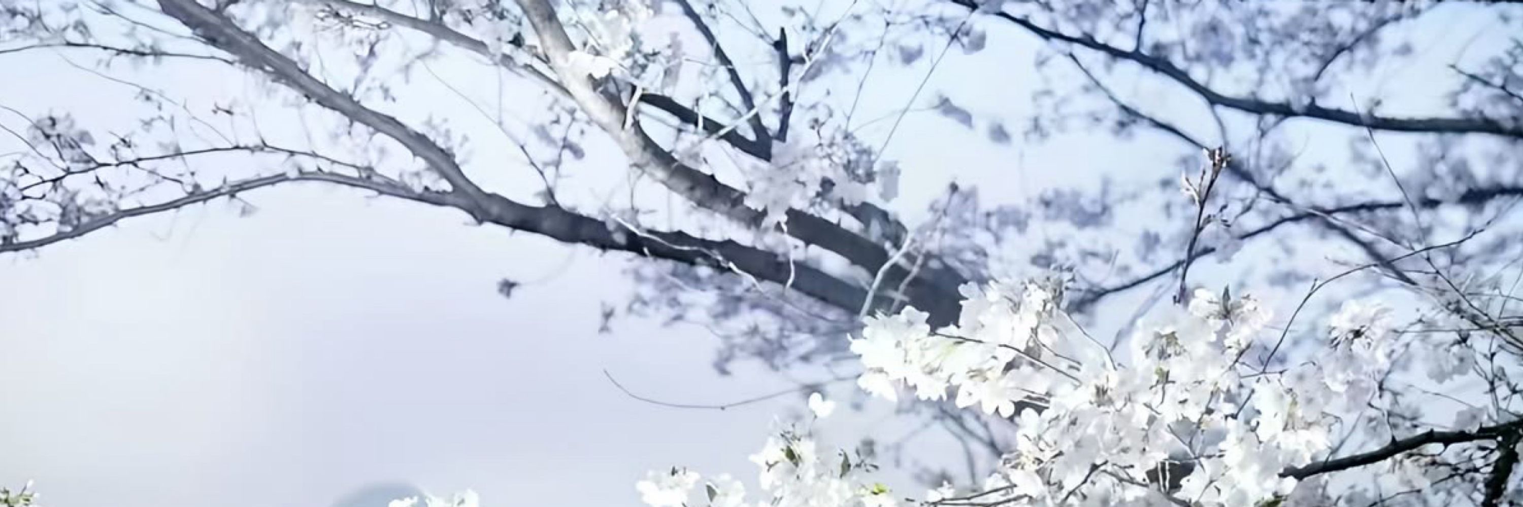 Masahiro Rio | 政博 莉緒