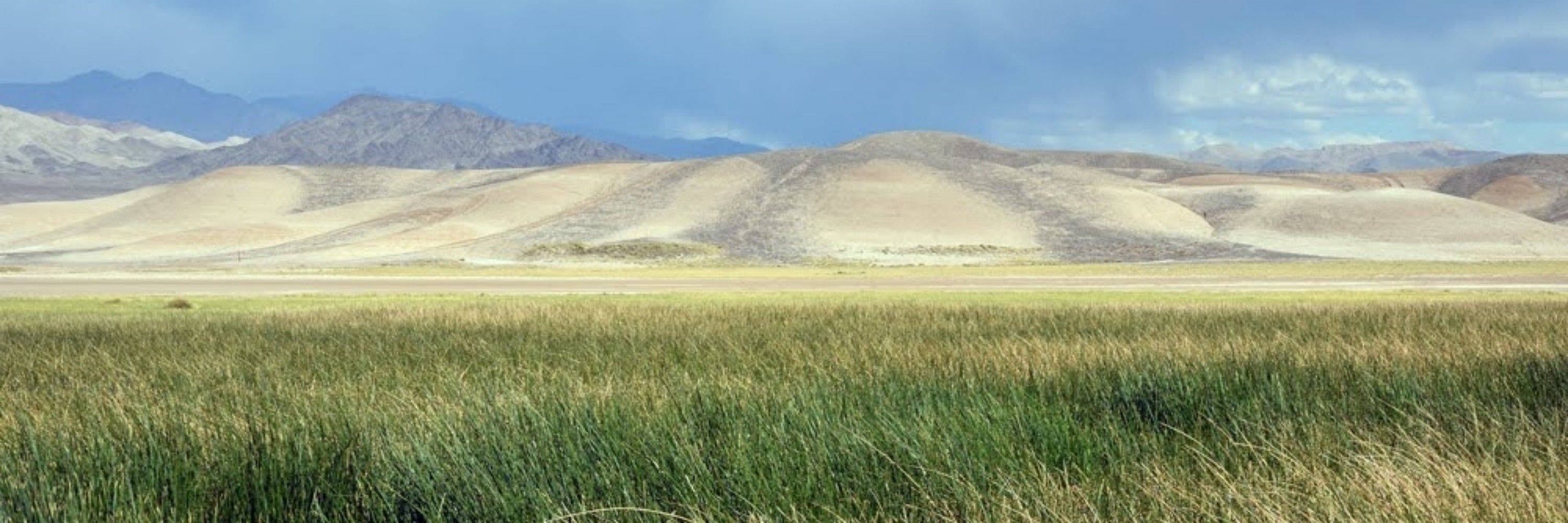 Ranchodeweerdo