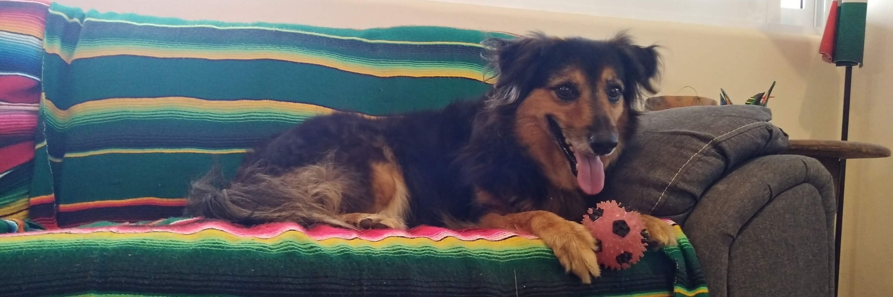 Marta