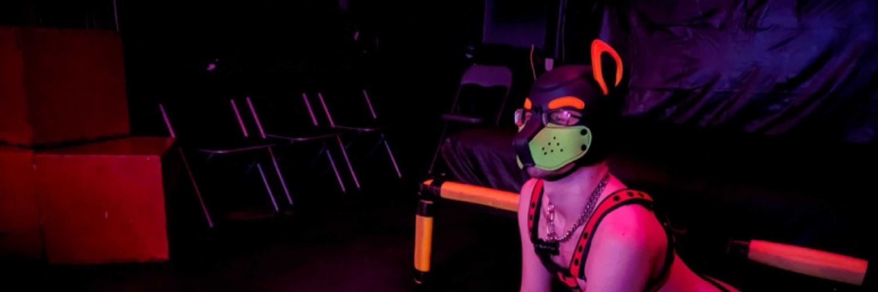 Pup Paimon