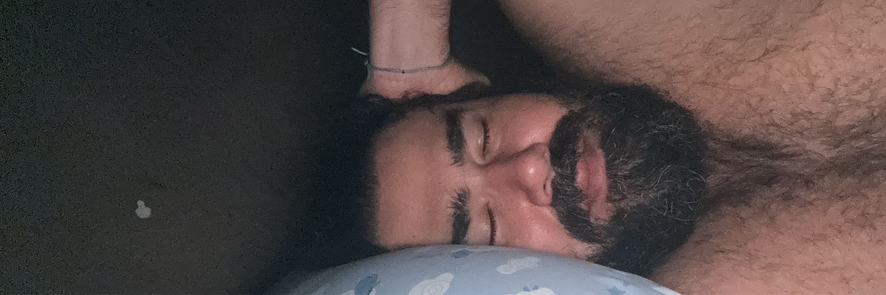 Pai de Pets 