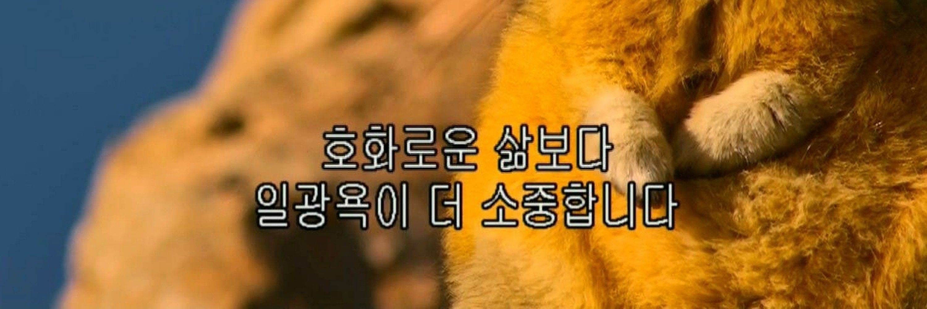 짭파게티