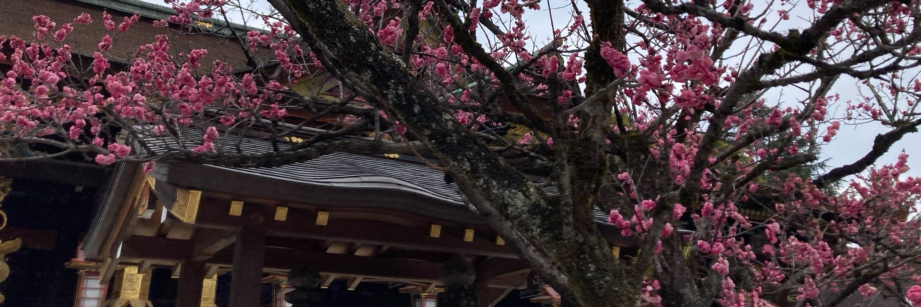 しち