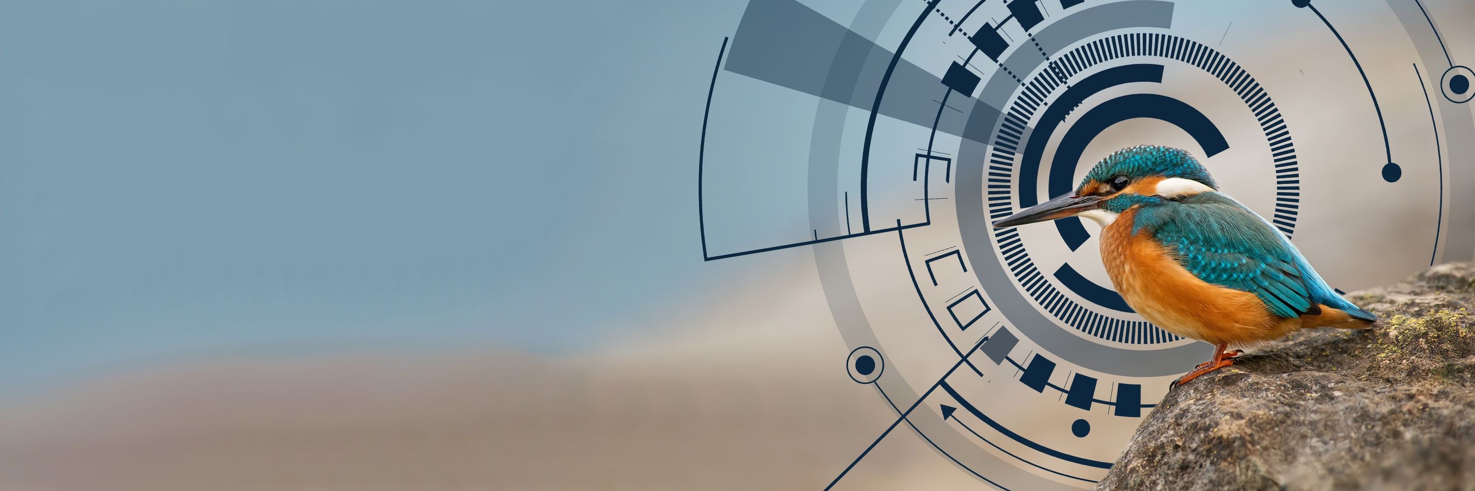 Barcode of Life Data Systems (BOLD)