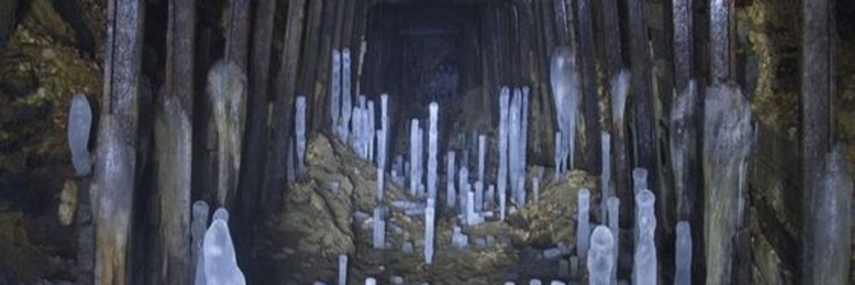 Todd Westcot - Regular Human Artist