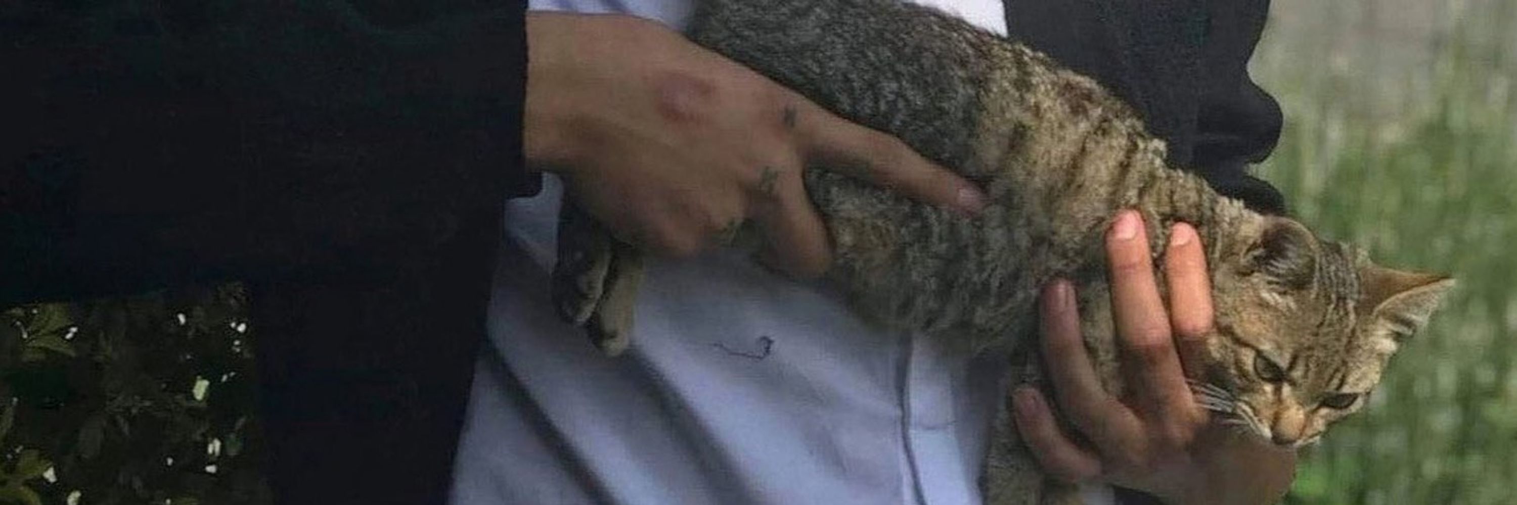 Yücel Kurşun
