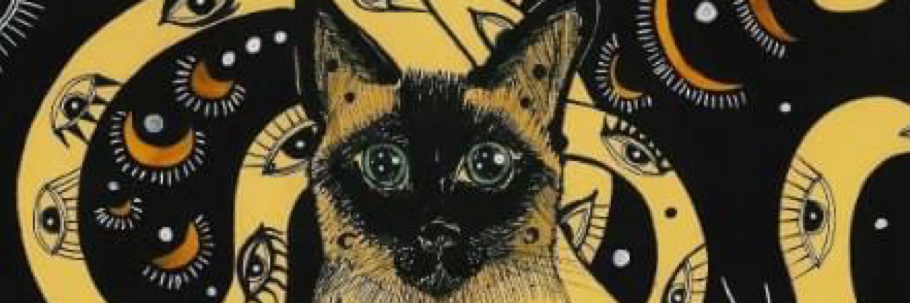 bruja