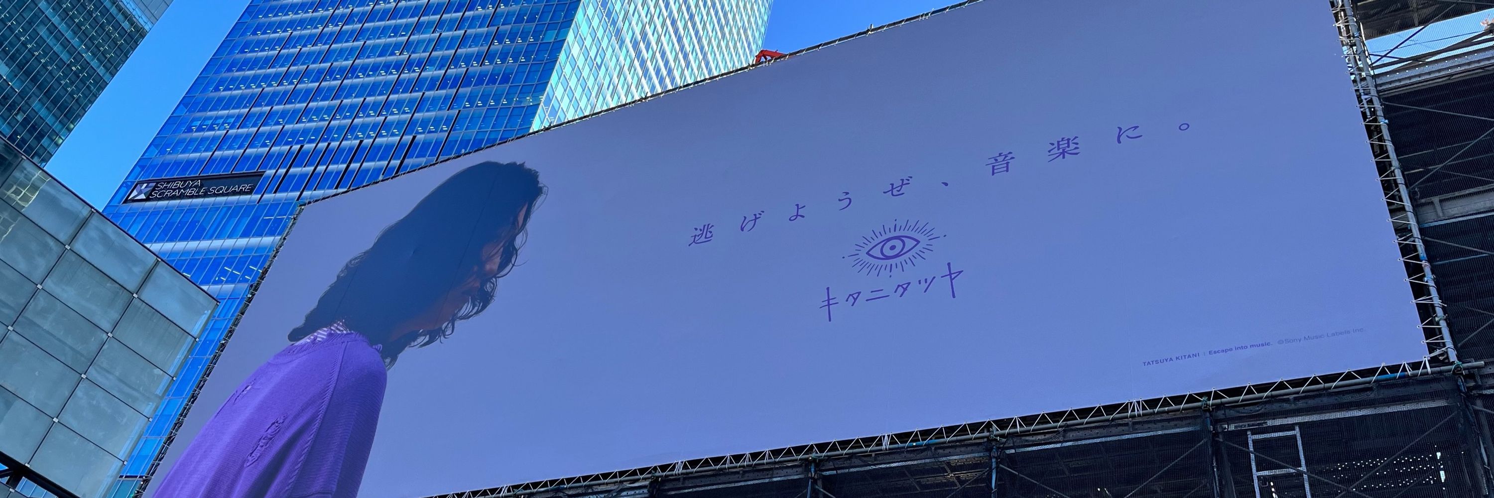 アオイ