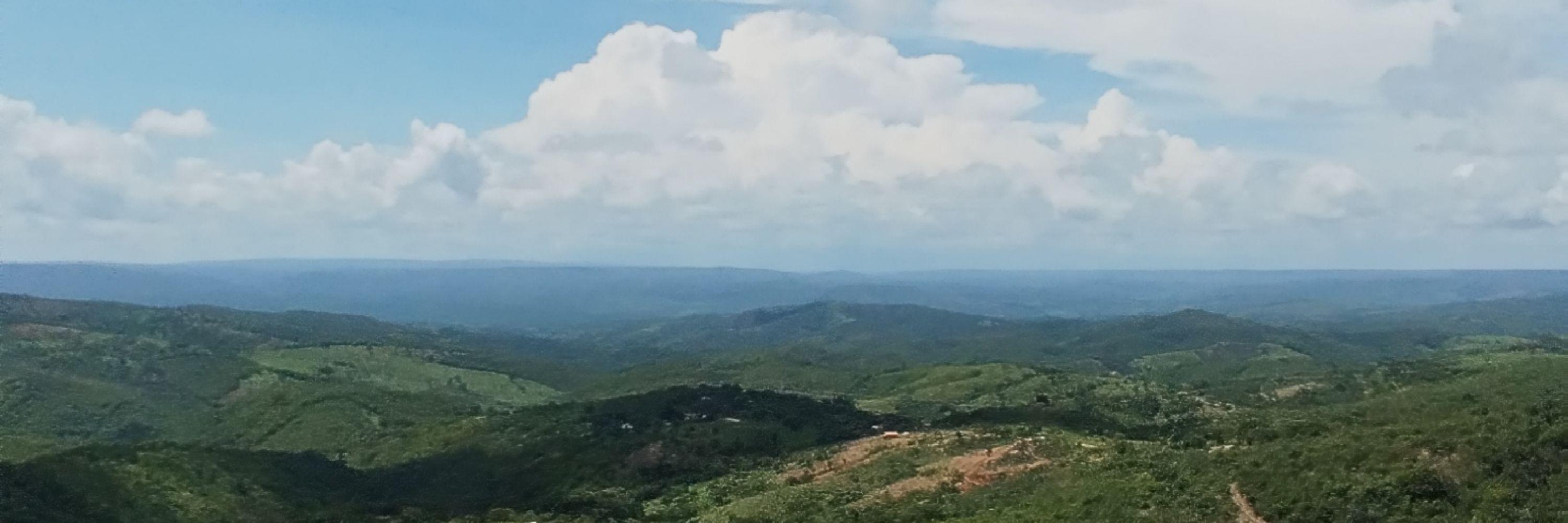 PedroPP