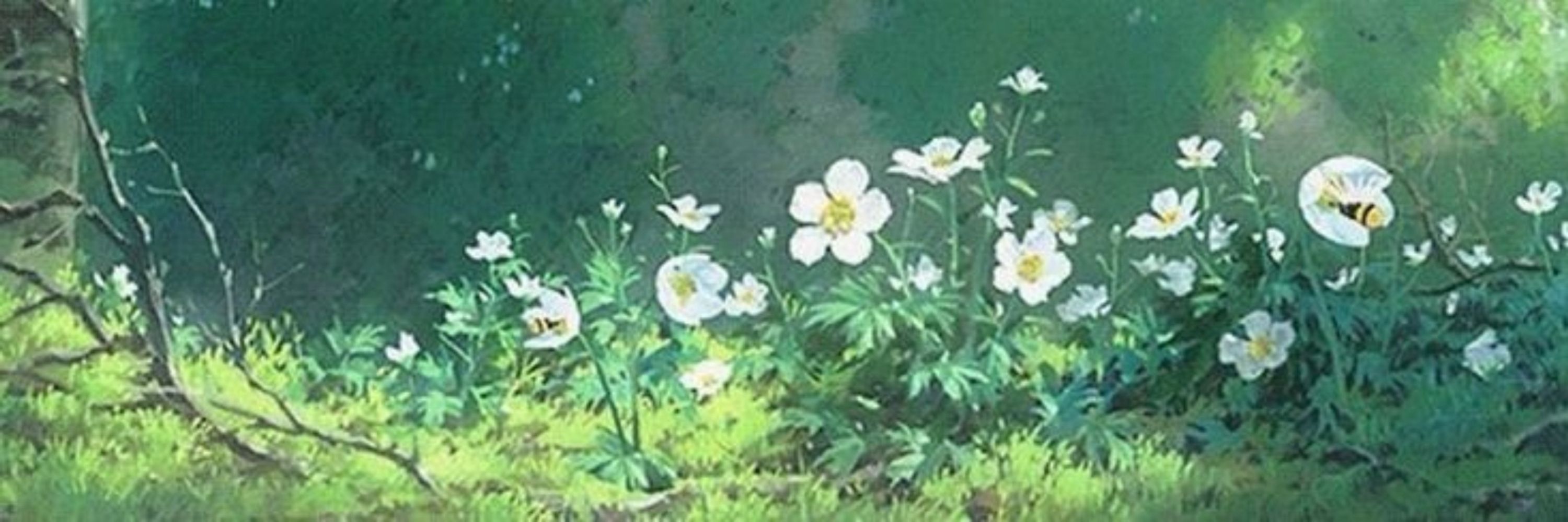 daisy 🌼