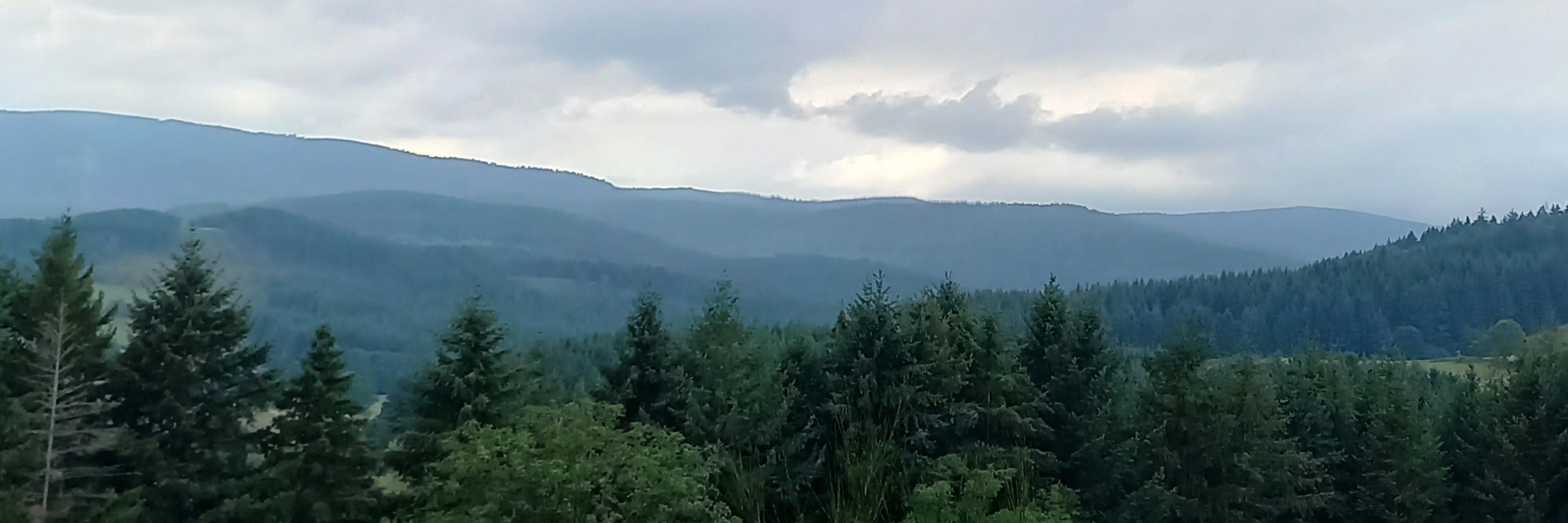 foxlinxy