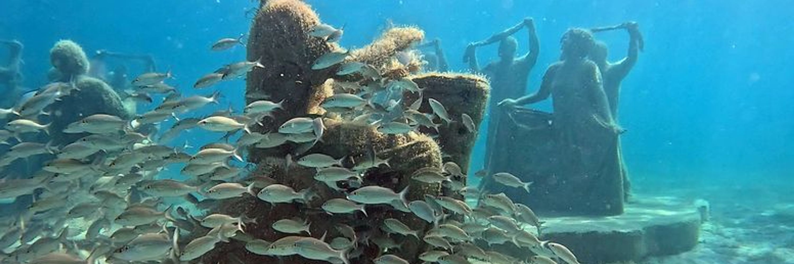 Visit St. Maarten / St. Martin