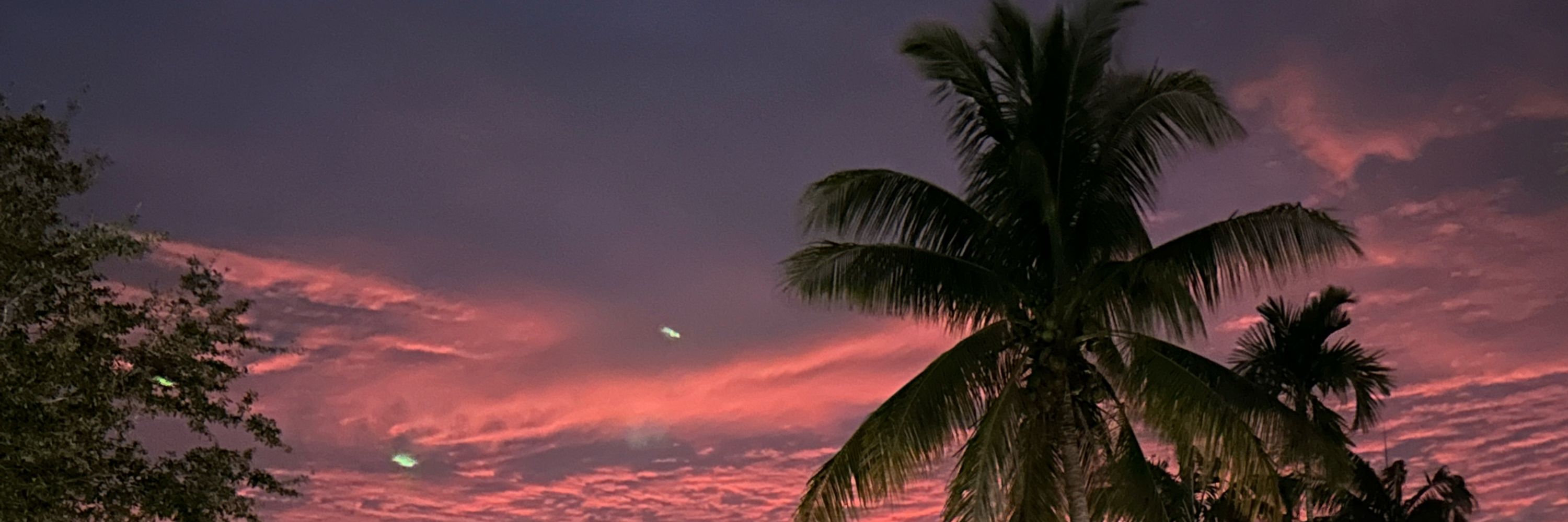 𝗇𝗂𝗋𝗏