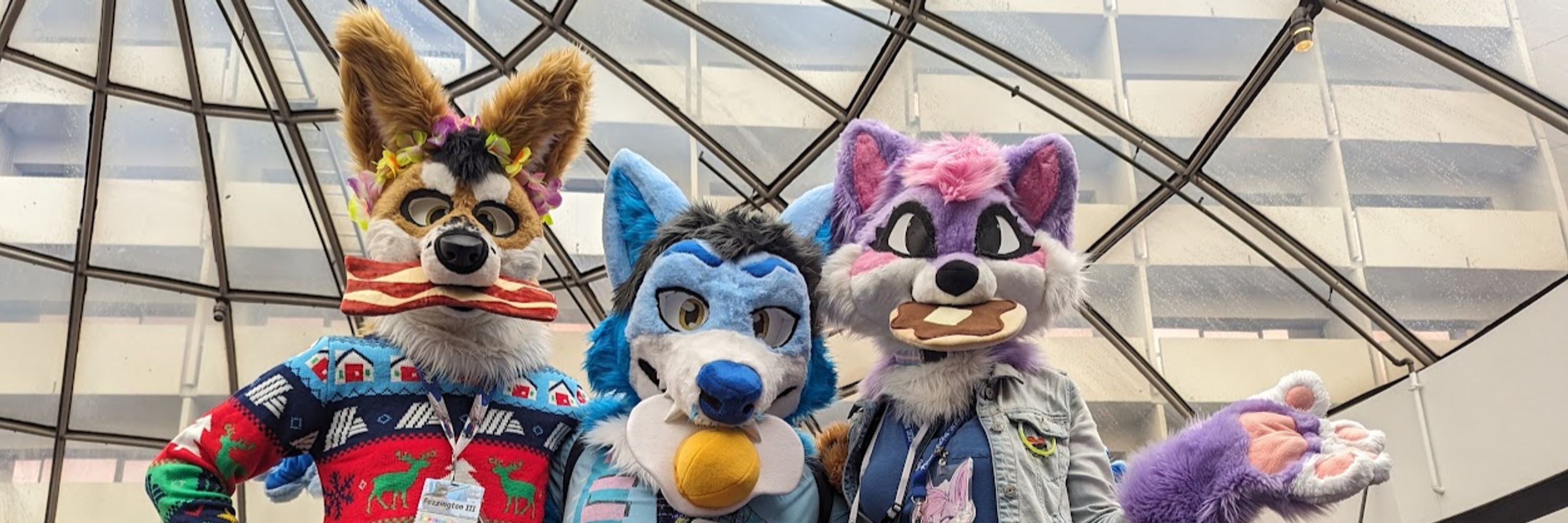 AmethystFoxo
