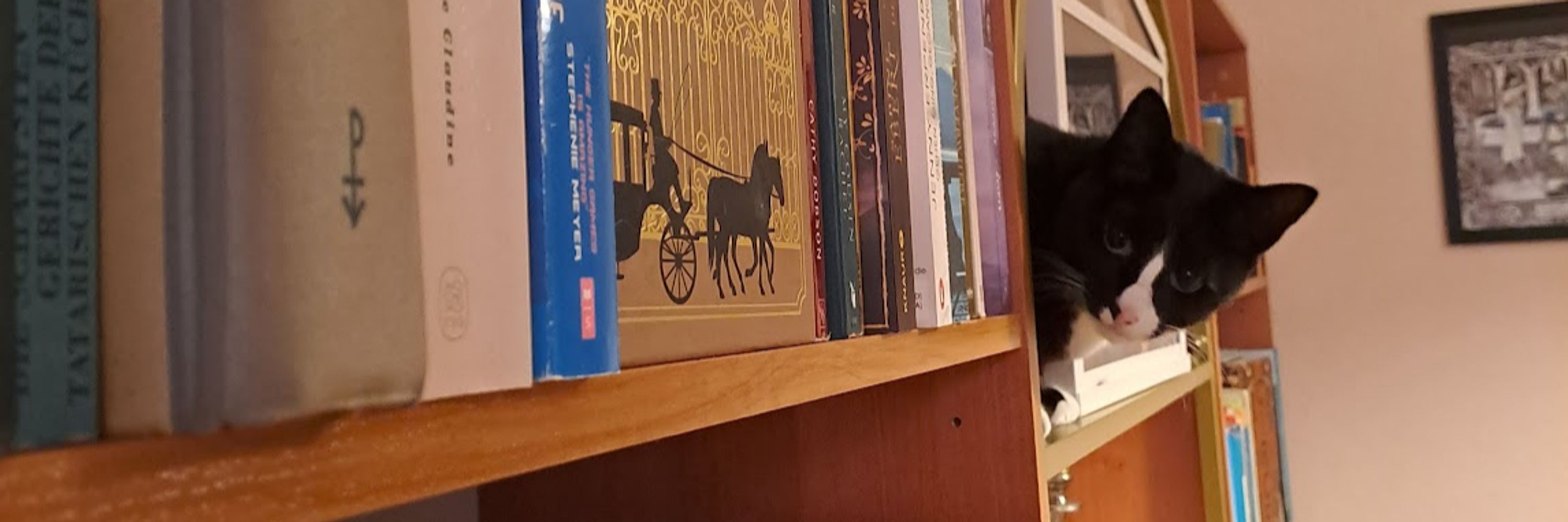 Spinster's Library
