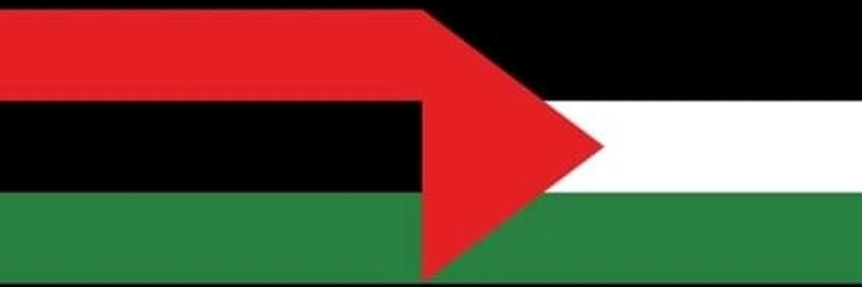 Anarkata Novice🇵🇸🍉🔻