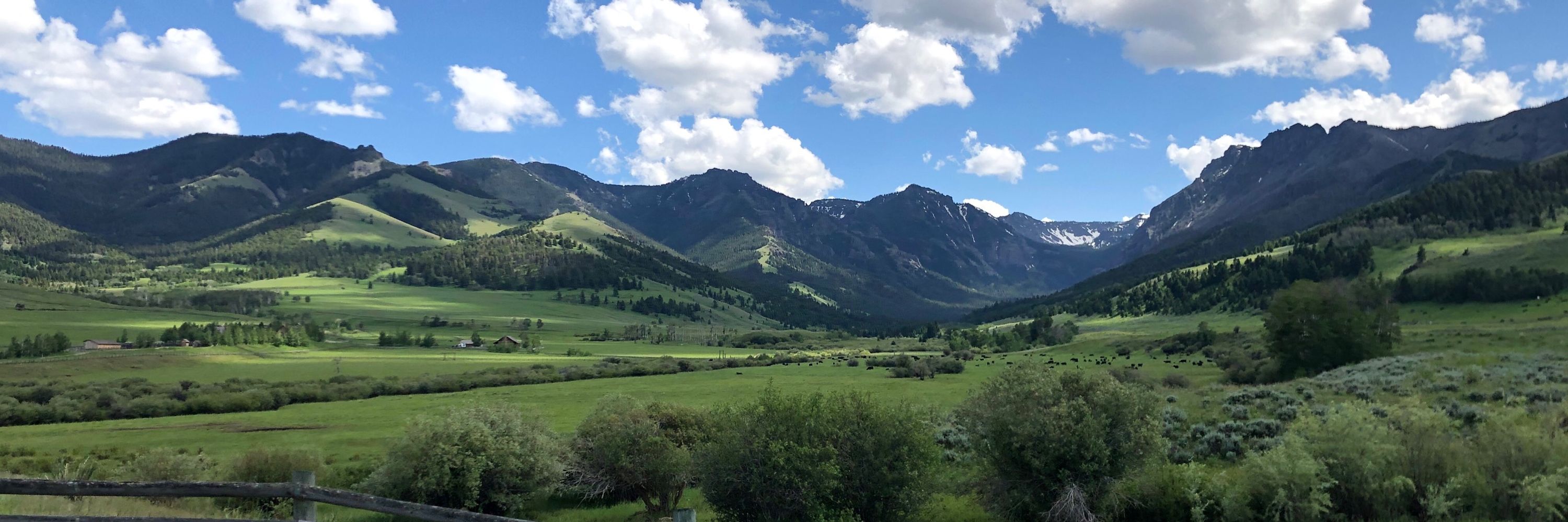 Blue in Montana