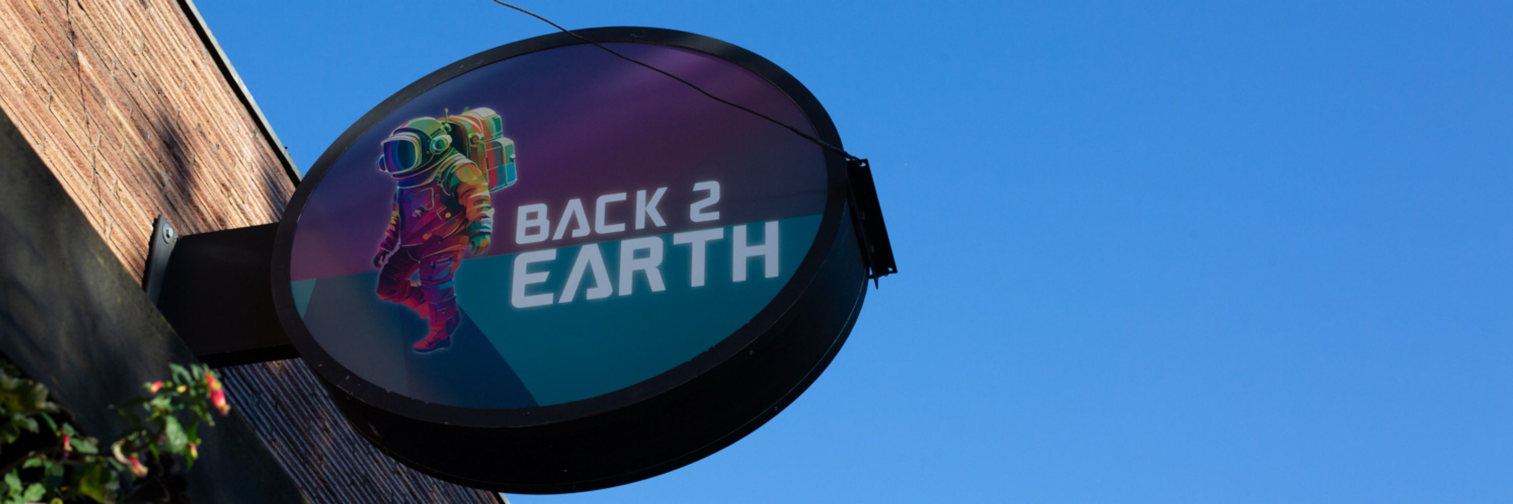Back 2 Earth