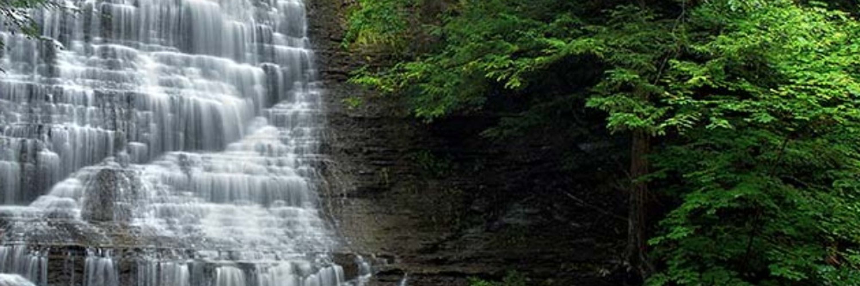 NYFalls.com