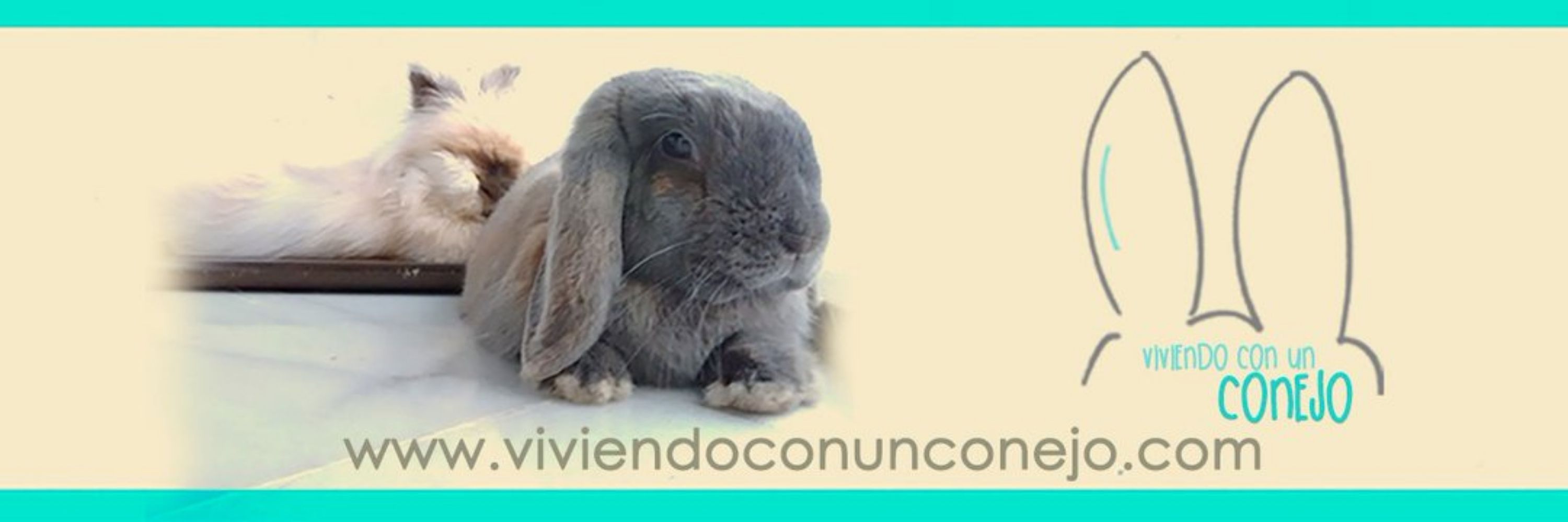 Viviendo Con Un Conejo