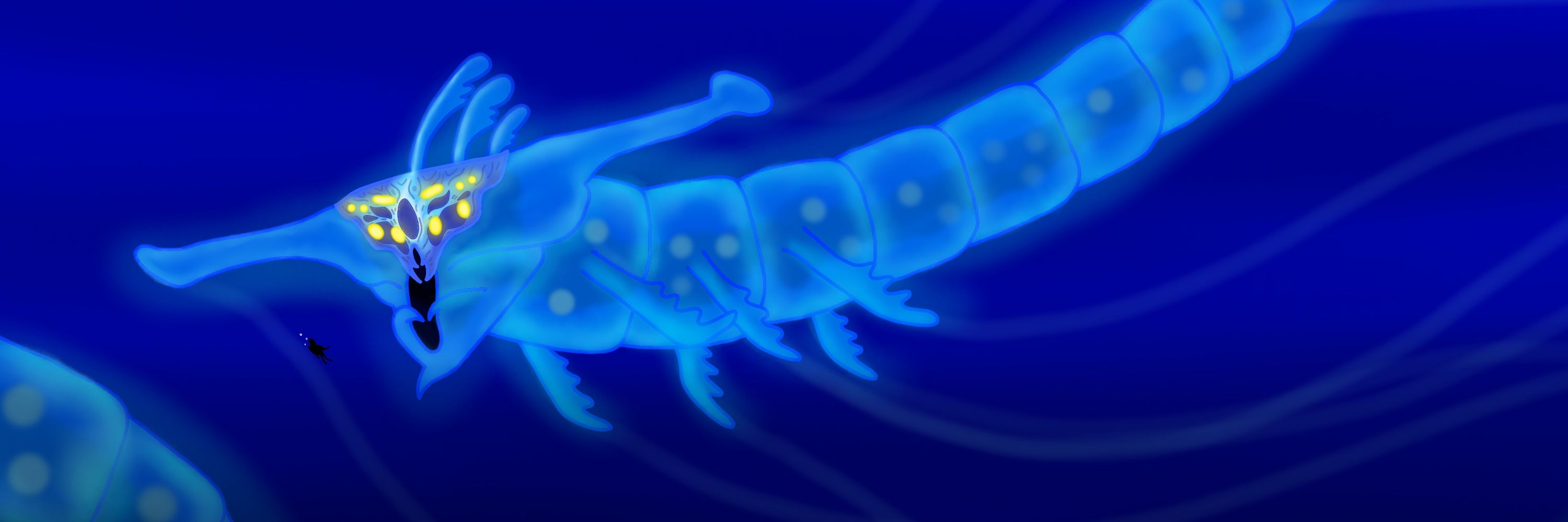 Seadraw