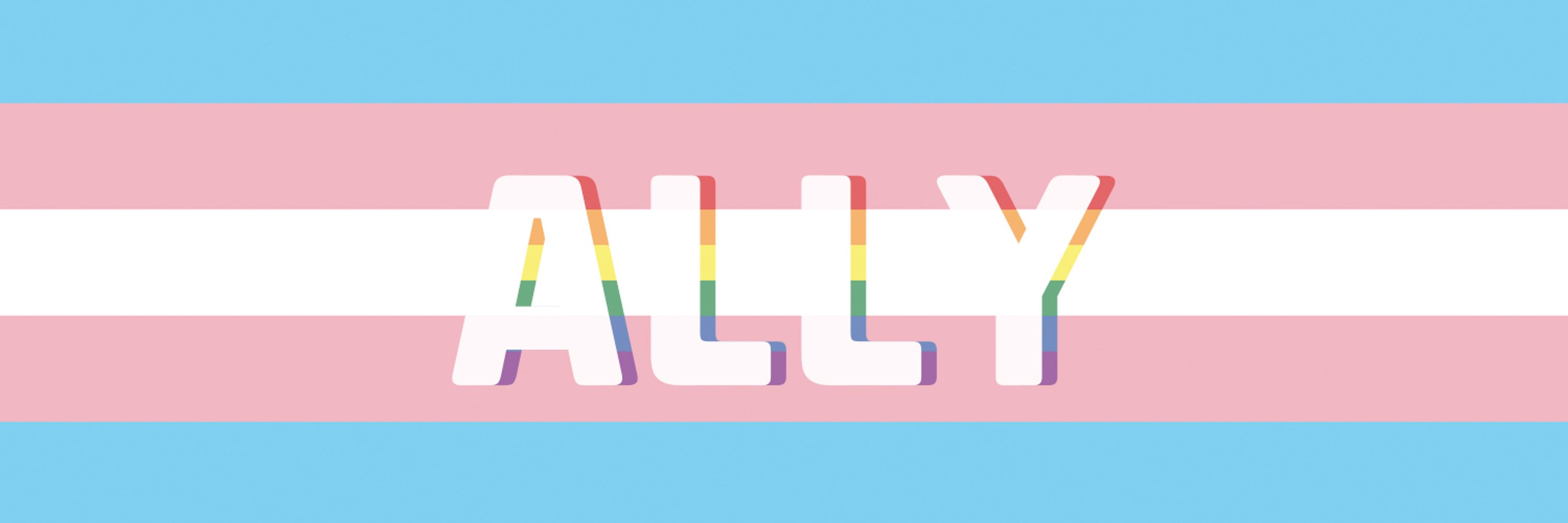 s a y o n g i s c a t