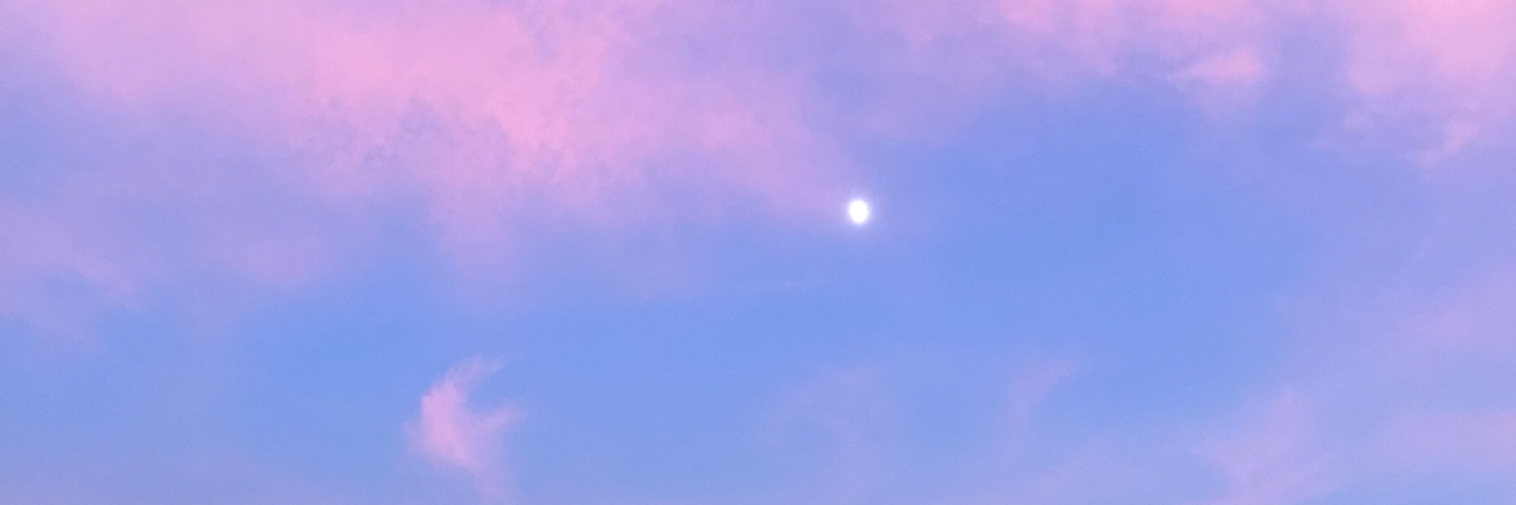 春