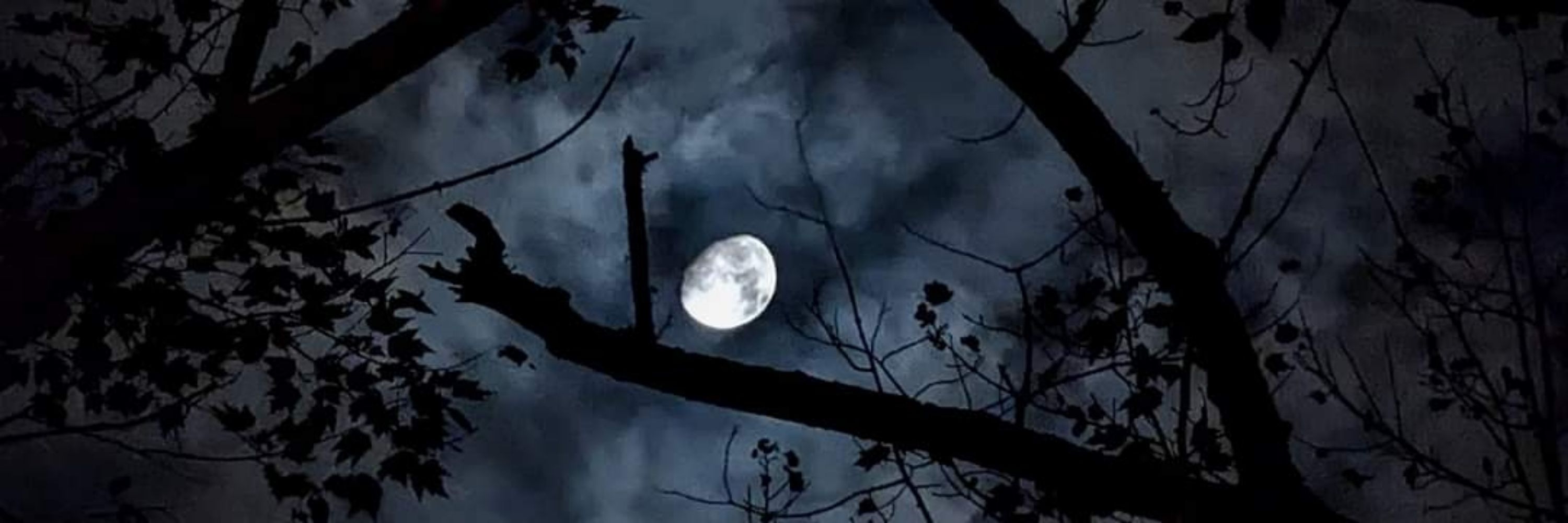 Beyond The Stars Photography