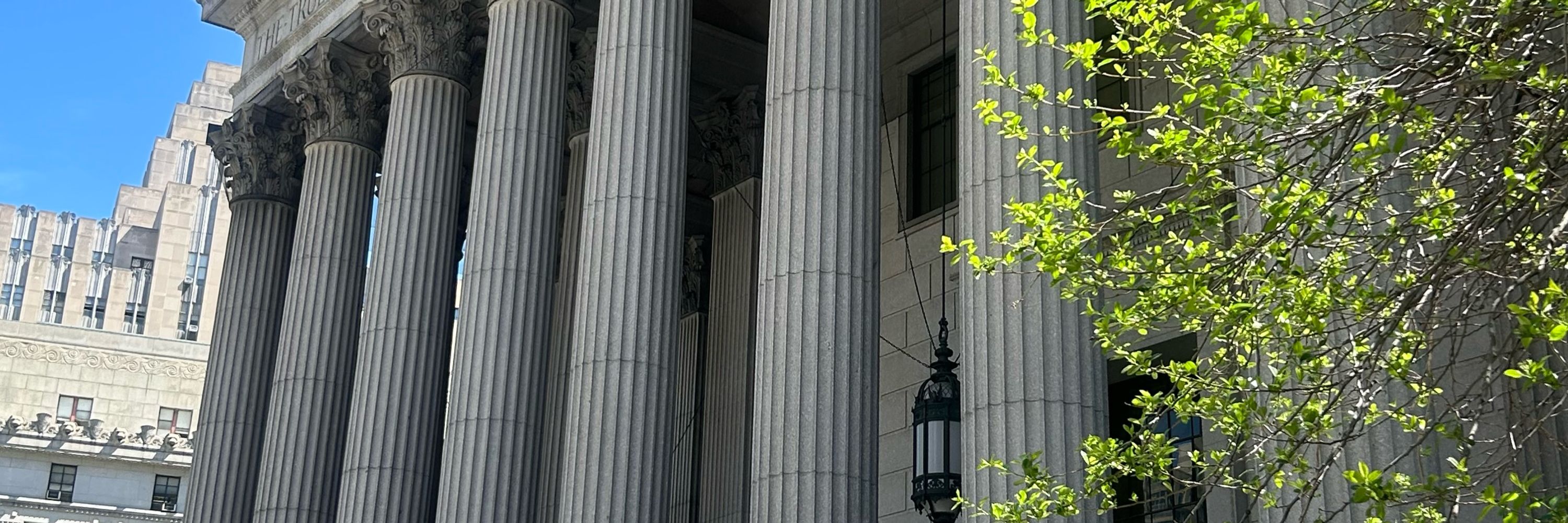Judicial Junkie Reads