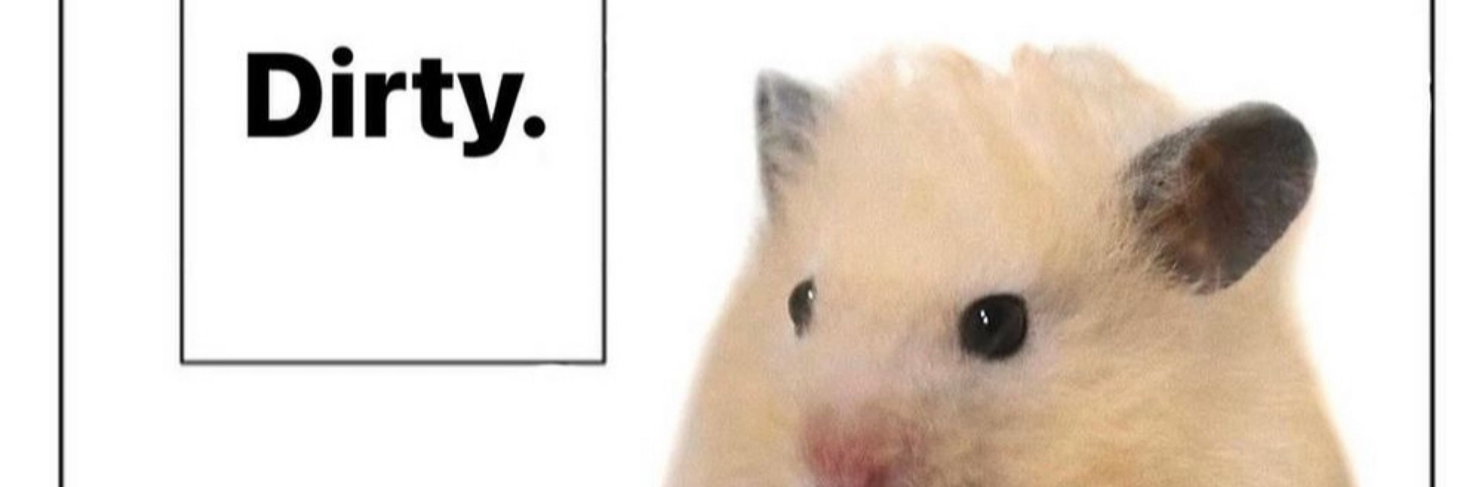Ham 