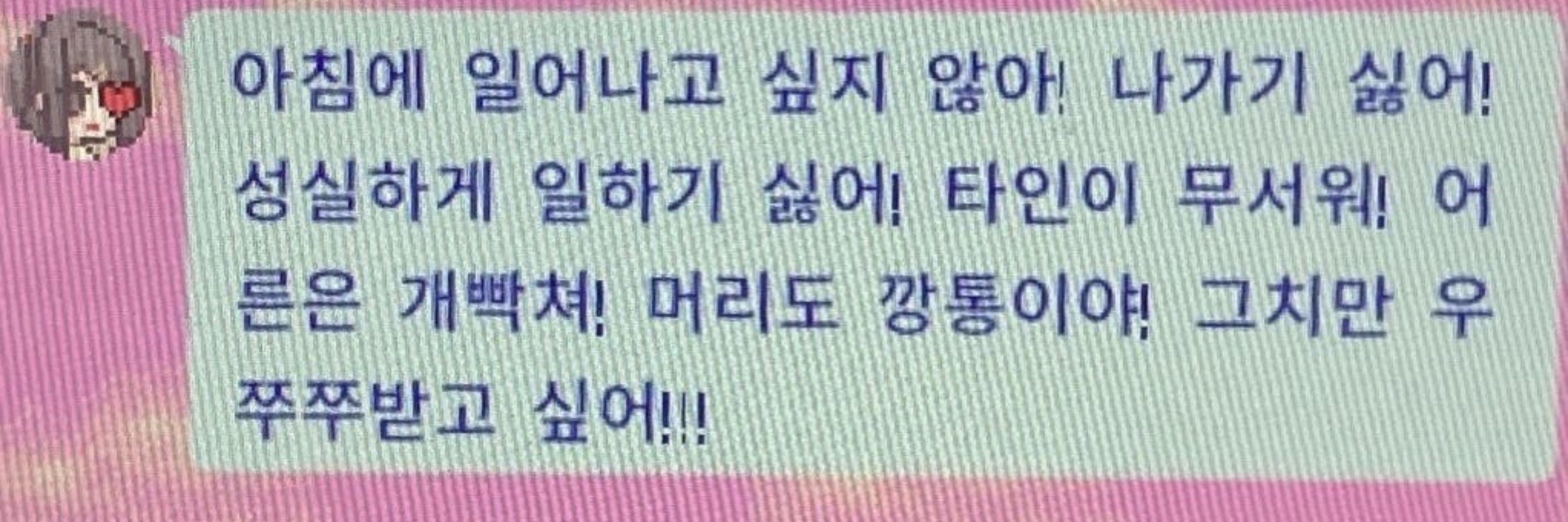 쿠키