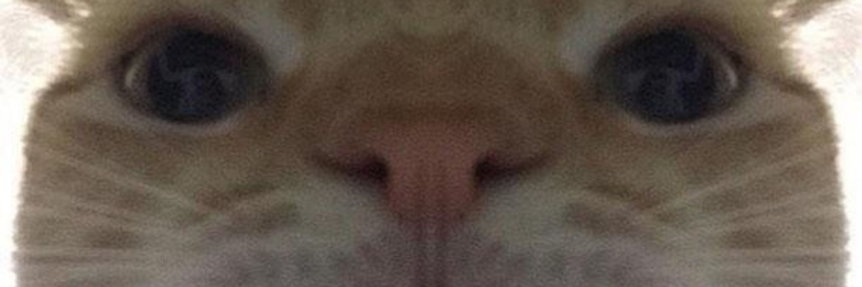 Furry without a fursona