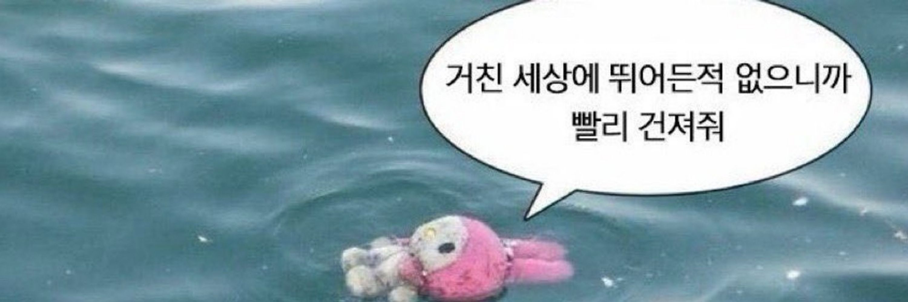 콩쥐박사
