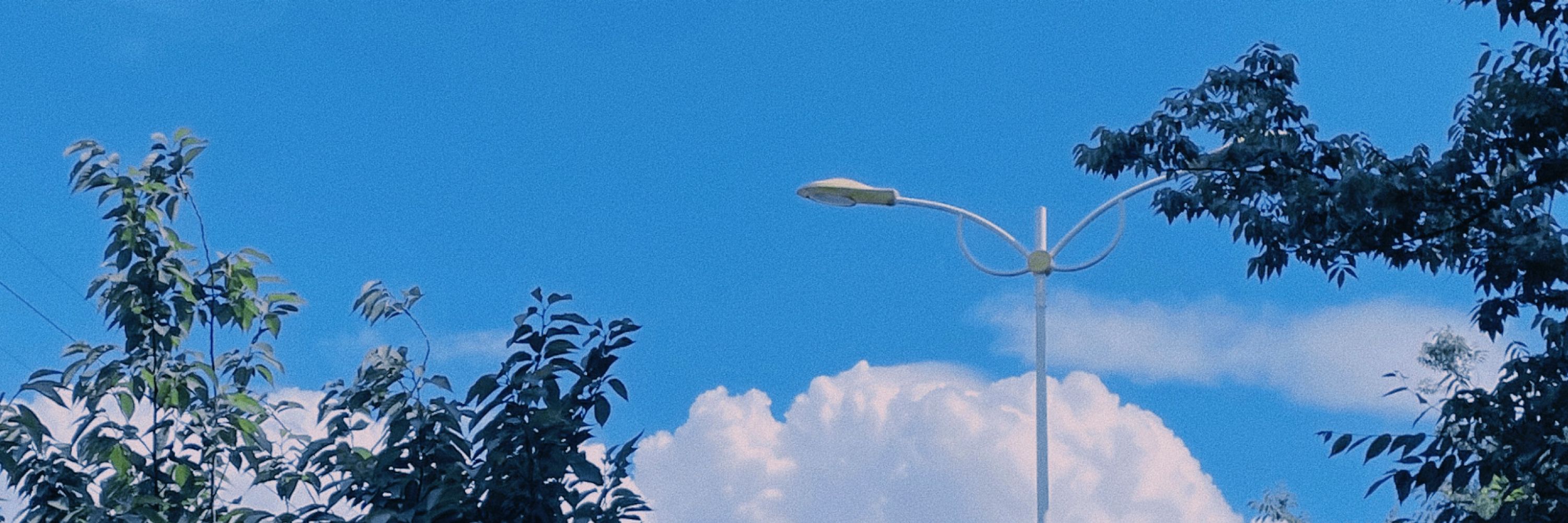 雨眠