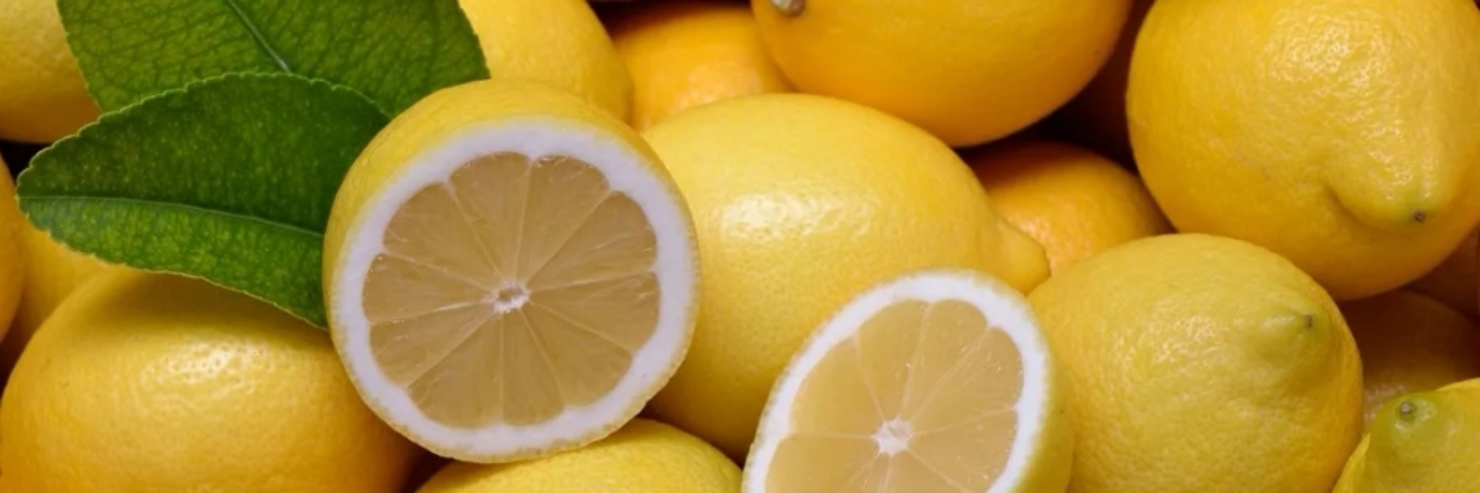 Limoner🍋