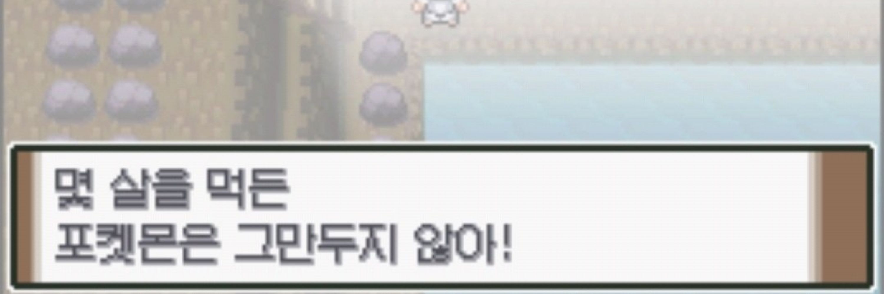 🐏☂️쉬프트