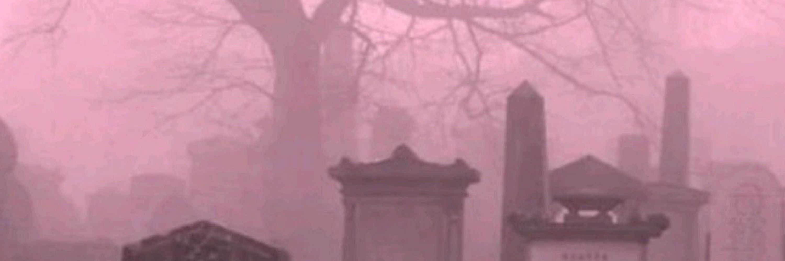 Belle 🦇 TW ED