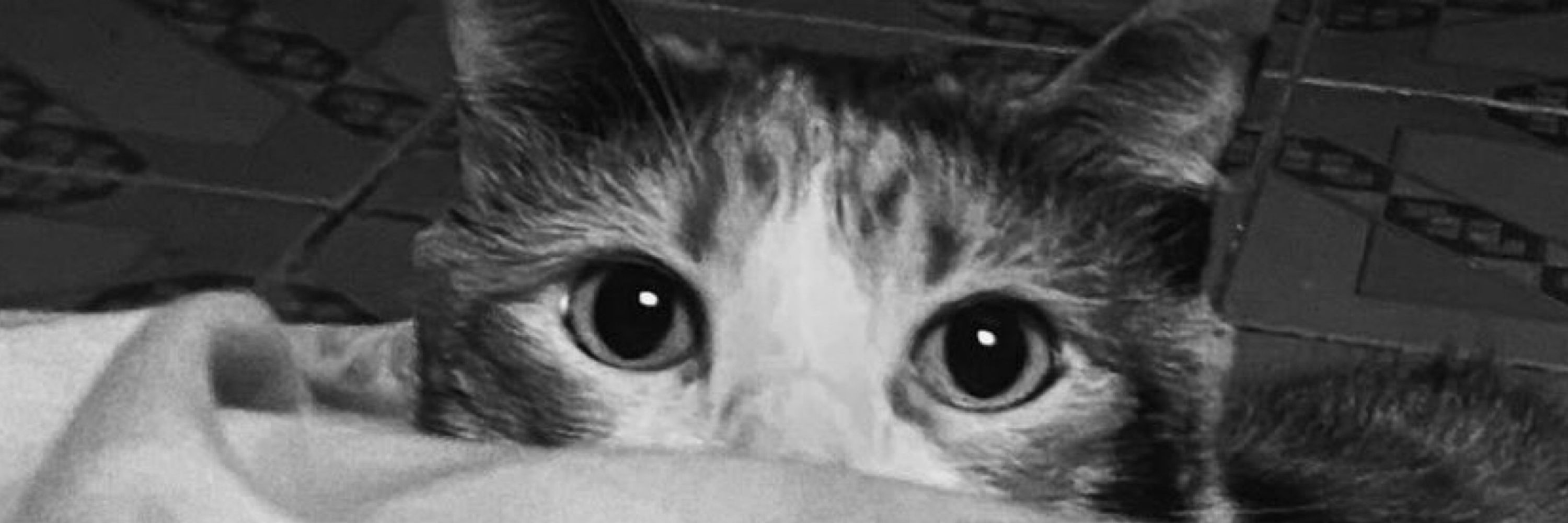 lua 