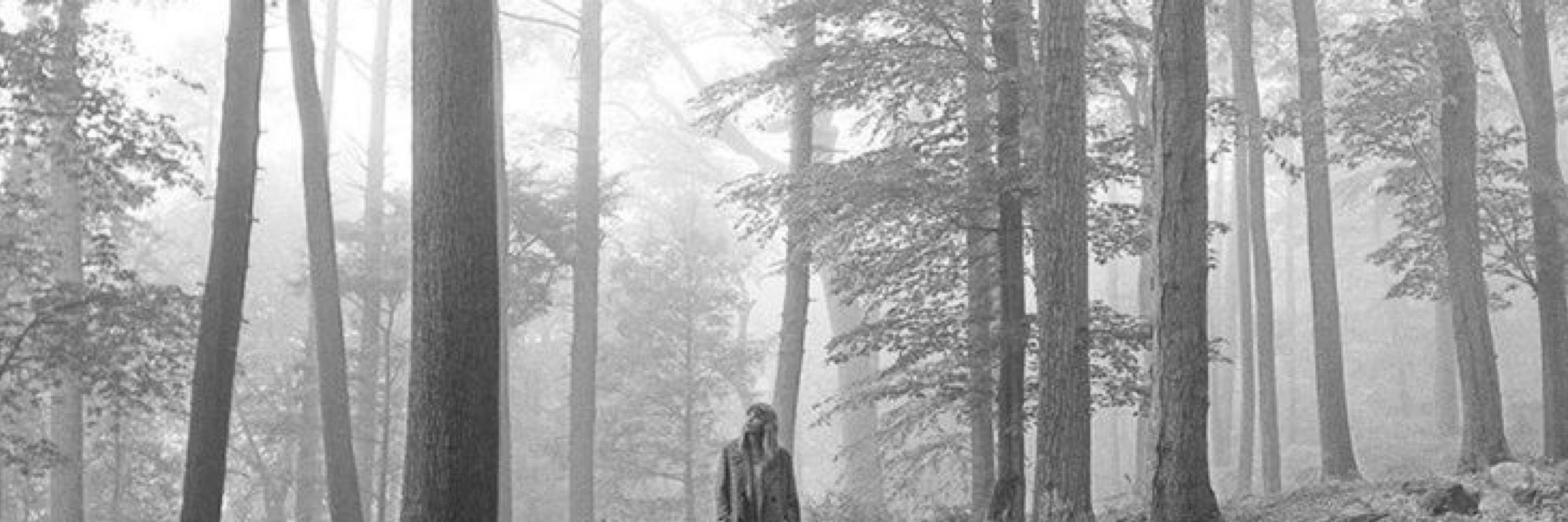 folklore lyrics