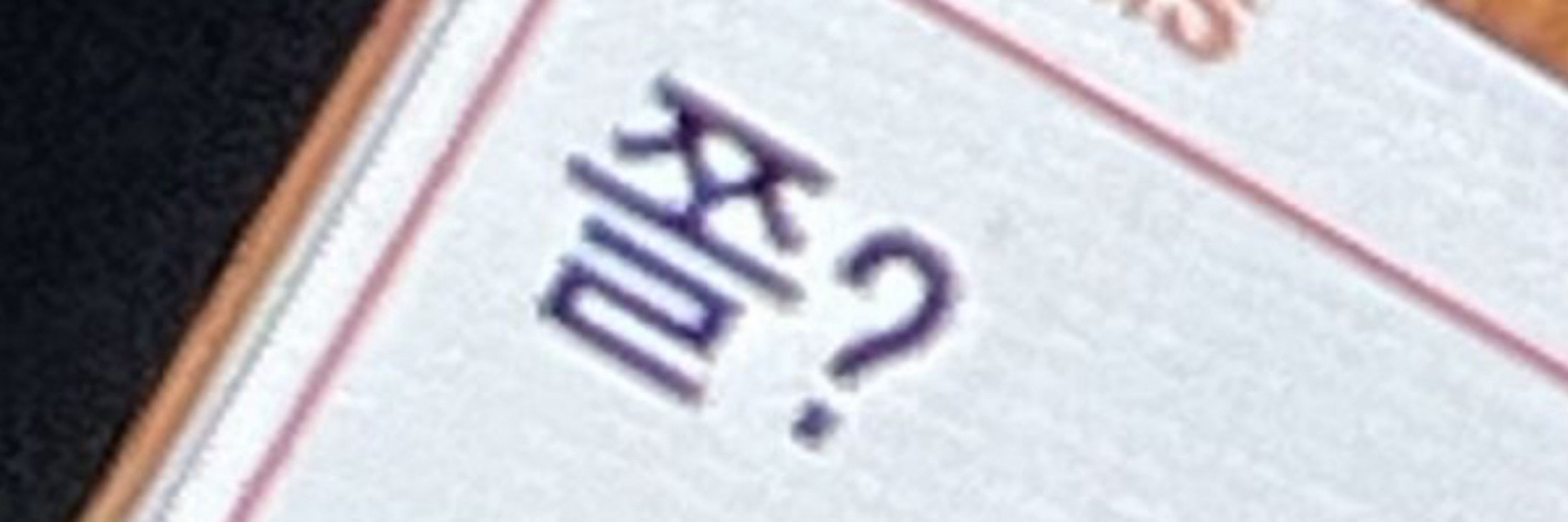 냥주인