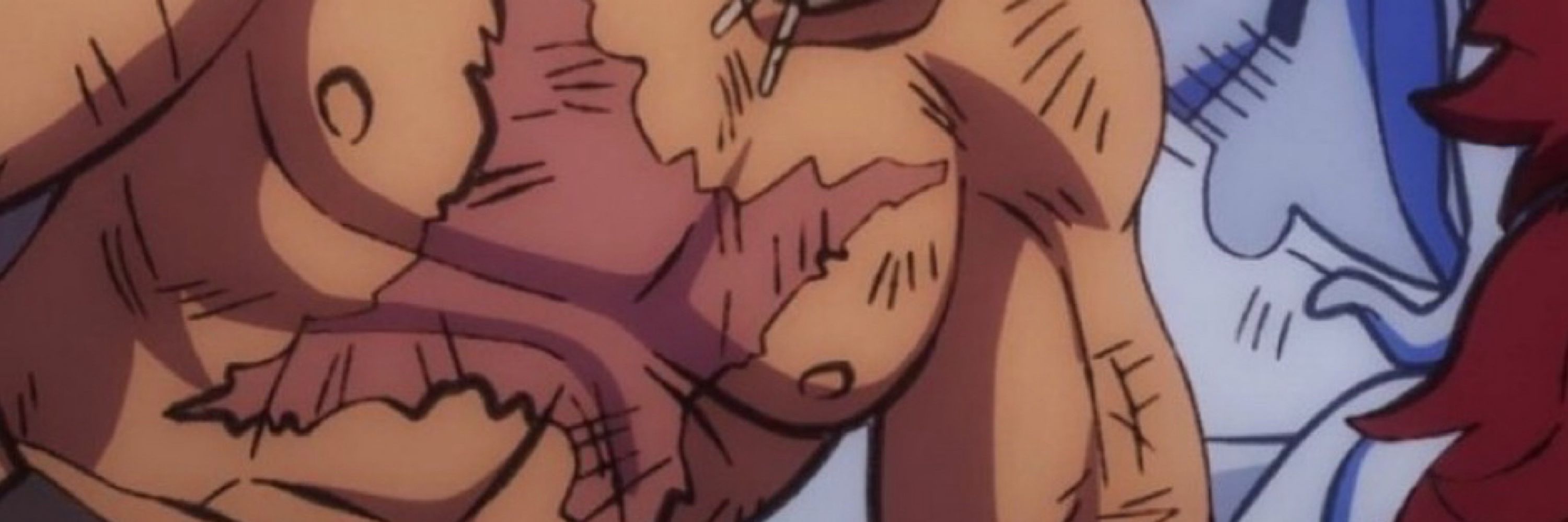Zoro’s scarred boob