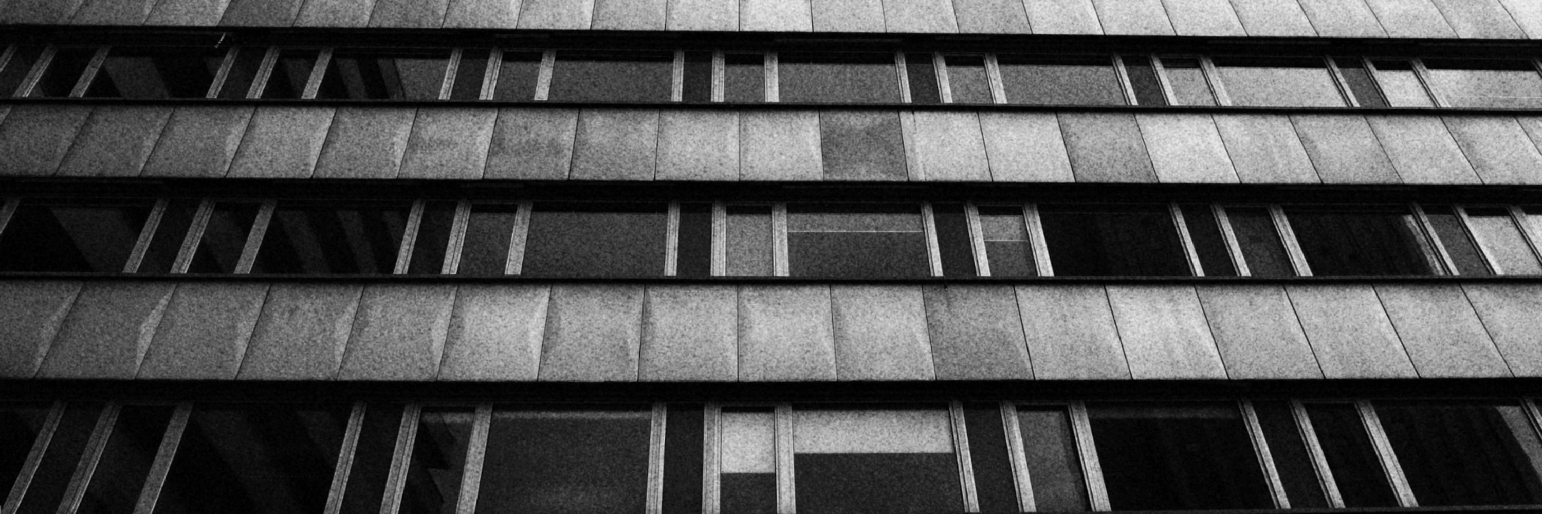 concretemoss