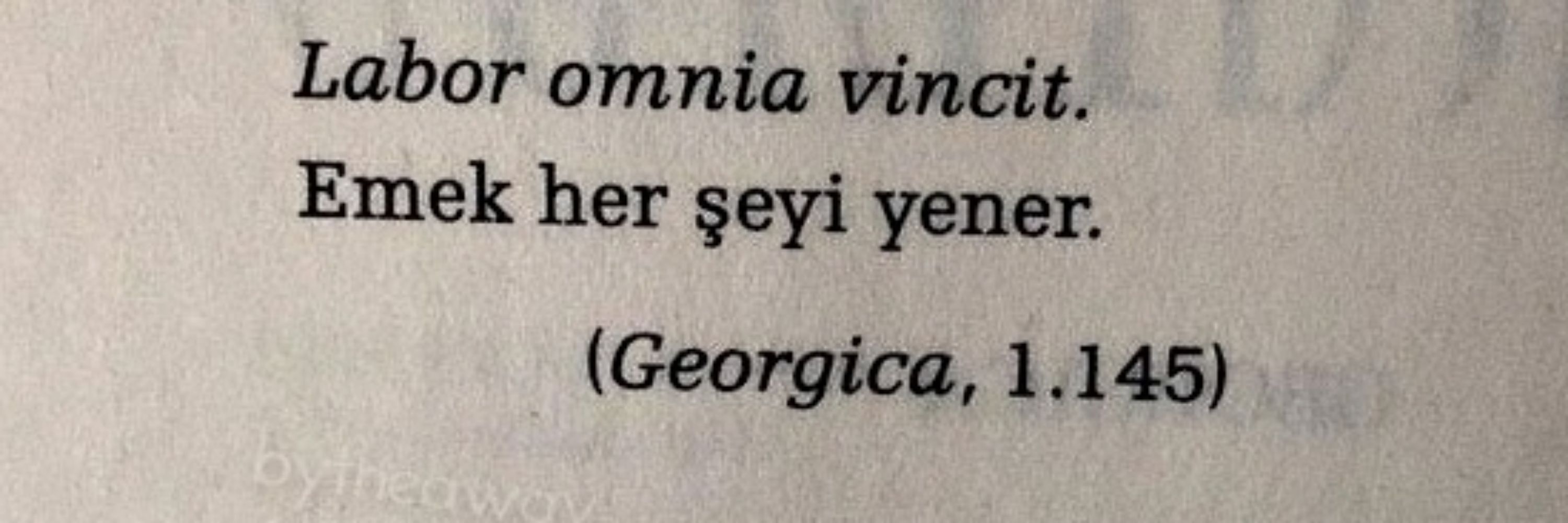elif 🌱