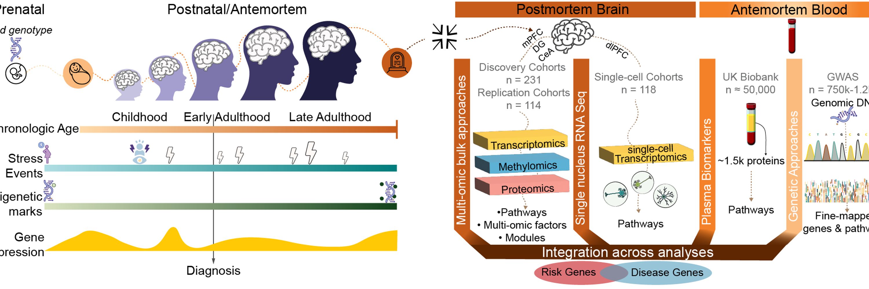 SysBioStress - Daskalakis Lab