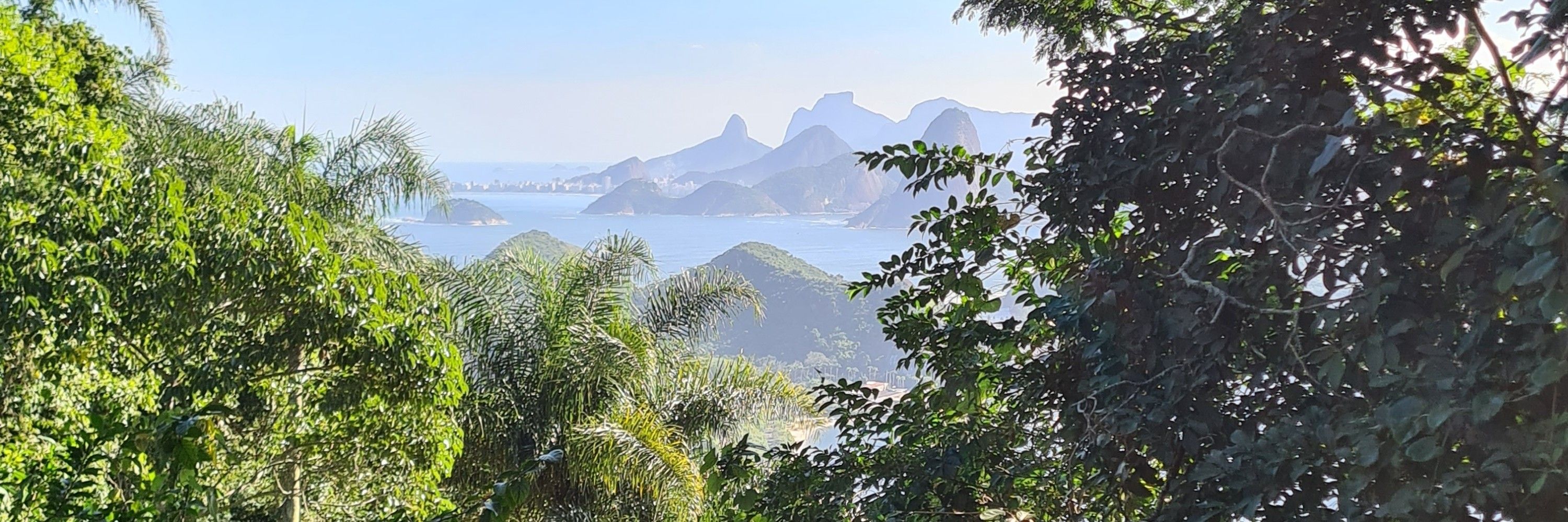 FPascoaleto 