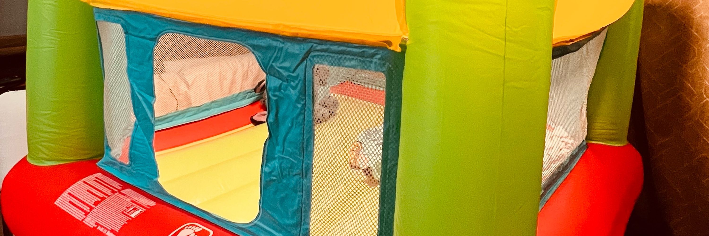 DiaperedDino🦕