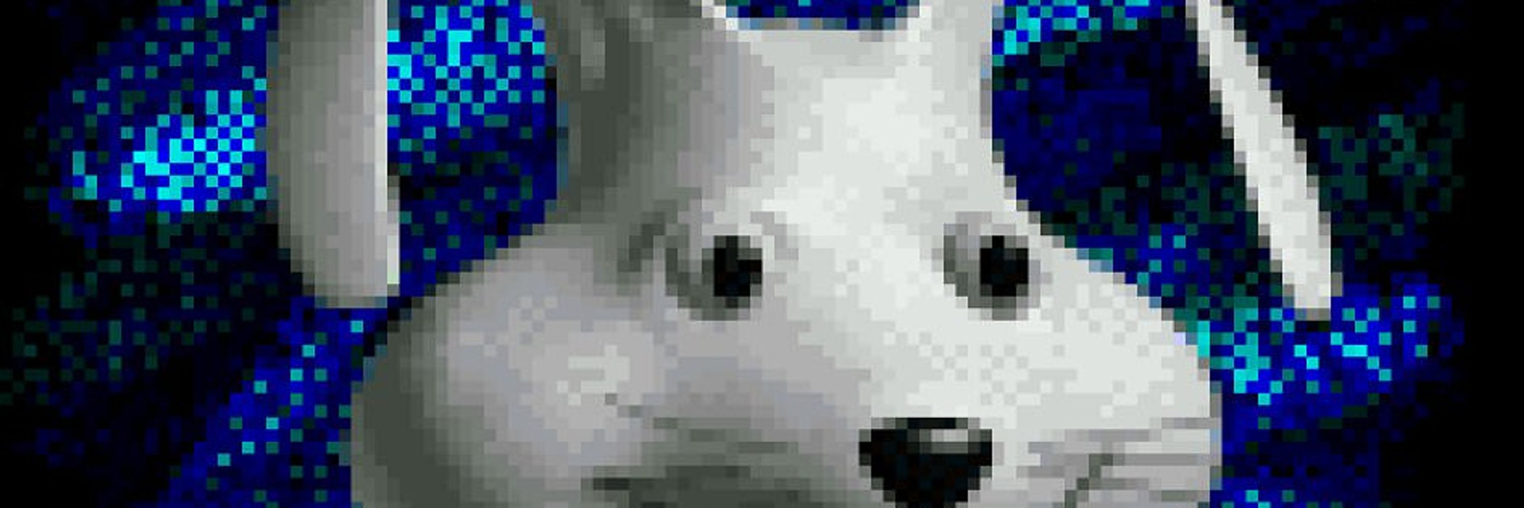 G0ttam