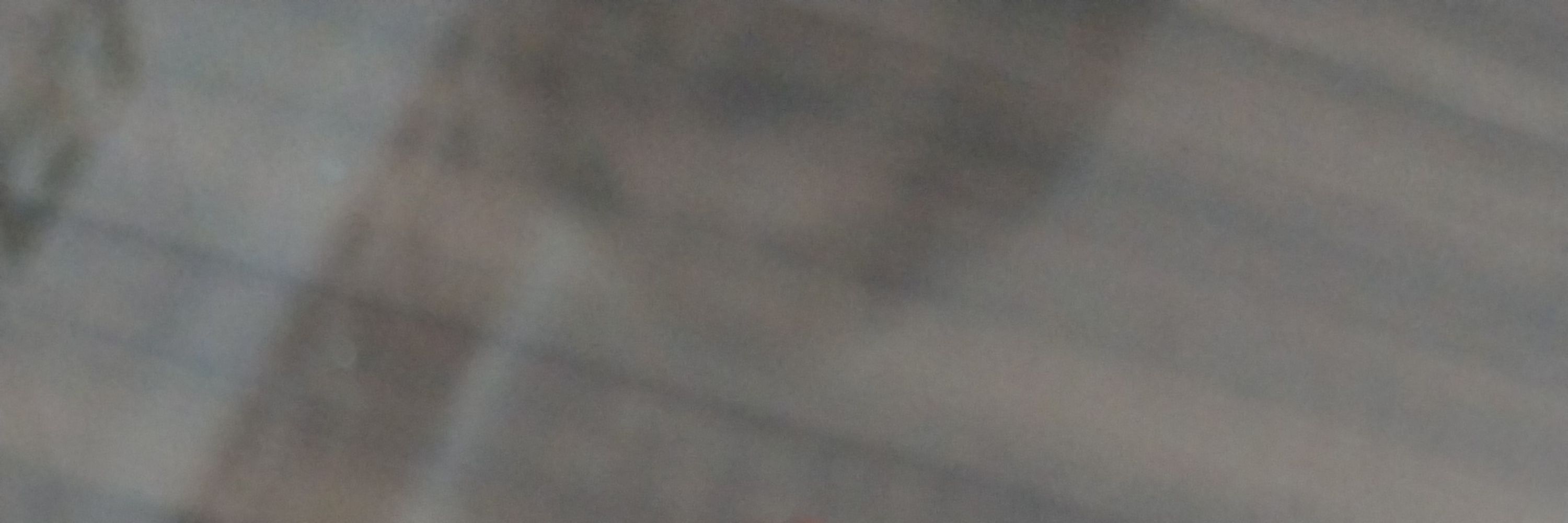 Guijo